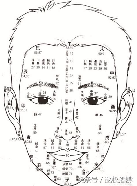 面相年齡|面相流年部位歌訣簡釋